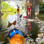 SUP PUP Paddleboard Tour - Guided by Natasha and the Charismatic Mr. Beaches