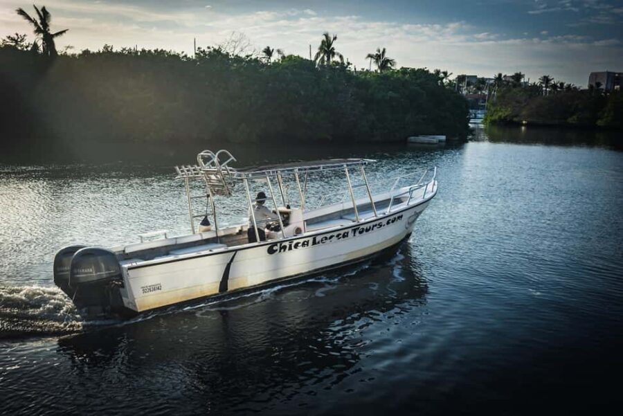 Super Panga Charter All-Inclusive - The Super Panga: A Speedy and Comfortable 30-Foot Vessel