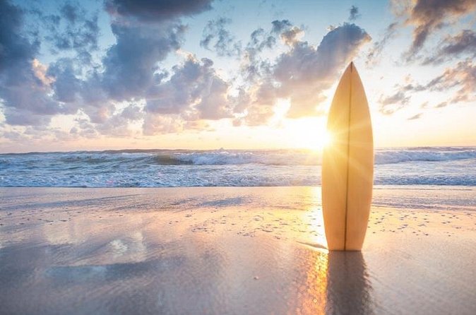 Surfing Adventure in San jose del Cabo - The Role of Bilingual Guides in Your Surfing Experience