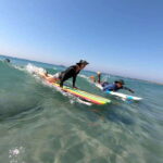 Surfing on the north of the bay - The Perfect Spot for Beginners in Nuevo Nayarit