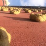 Surreal experience: visit the Dalí museum - The Journey from Barcelona to Figueres in Style