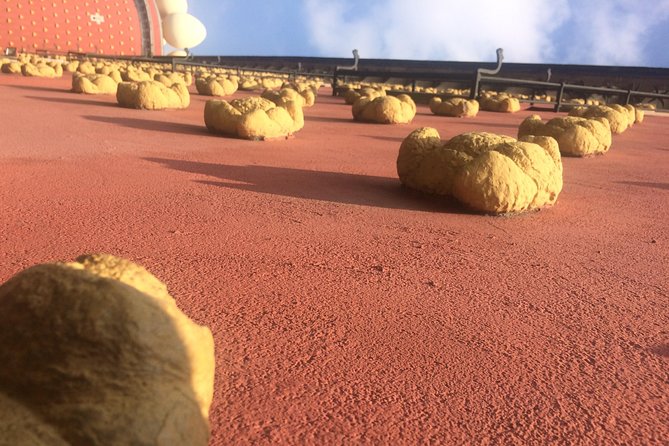 Surreal experience: visit the Dalí museum - The Journey from Barcelona to Figueres in Style