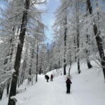 Susa Valley at dawn: snowshoeing in nature and silence - Exploring snow-covered fir and larch forests