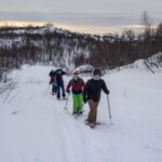 Svolvaer: Half-Day Guided Snowshoeing Tour - The Scenic Beauty of Vestfjorden and Mainland Norway
