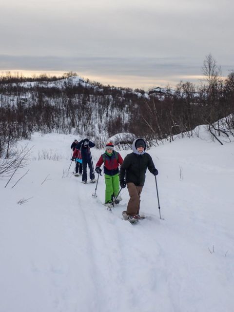 Svolvaer: Half-Day Guided Snowshoeing Tour - The Scenic Beauty of Vestfjorden and Mainland Norway