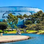 Swan Boat Rental at Rainbow Lagoon in Long Beach - The Details of the Swan Boat Fleet at Rainbow Lagoon
