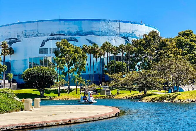 Swan Boat Rental at Rainbow Lagoon in Long Beach - The Details of the Swan Boat Fleet at Rainbow Lagoon