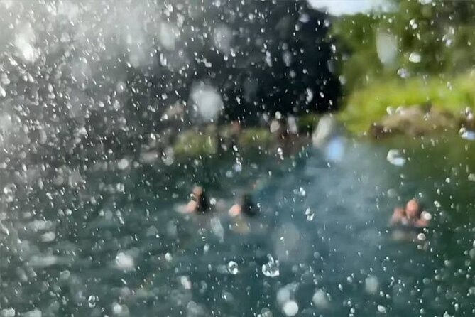 Swim at Oahu Waterfall in Waimea with Coffee, Lunch and Dole - Swimming at Waimea Waterfall