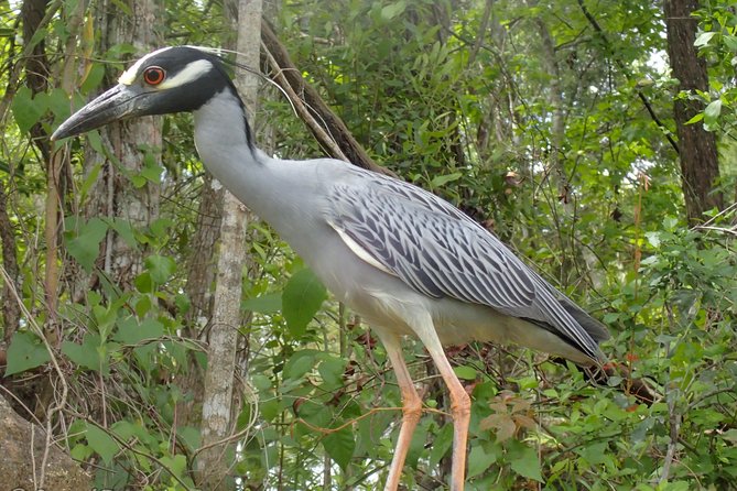 Swim with Manatees: Eco-Educational Tour in Crystal River - Meeting Point at Crystal River Watersports