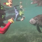 Swim With Manatees In Crystal River, Florida - Kayaking and Snorkeling Equipment in the Tour Package