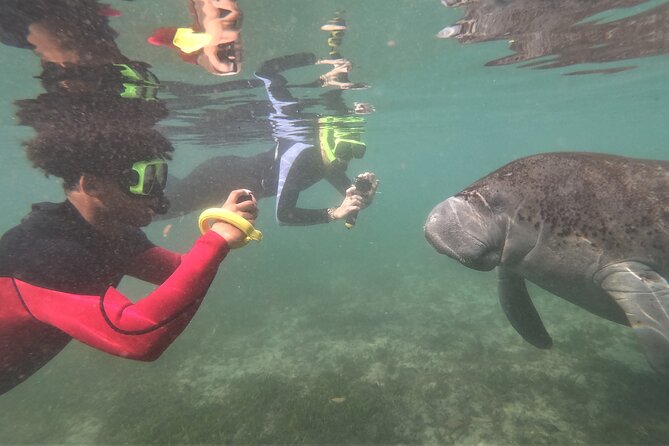 Swim With Manatees In Crystal River, Florida - Kayaking and Snorkeling Equipment in the Tour Package