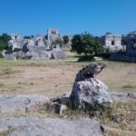 Swim with turtles + snorkelling + archaeological zone of Tulúm + cenote - Snorkeling and Swimming with Sea Turtles at Centro Ecologico Akumal