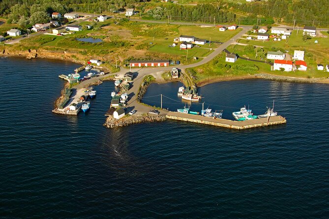 Sydney Sightseer City and Coastal Tour - Starting Point and How to Join the Tour