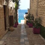 Syros: Food Walking Tour - Exploring the Fish Market, Butcher Shops, and General Stores