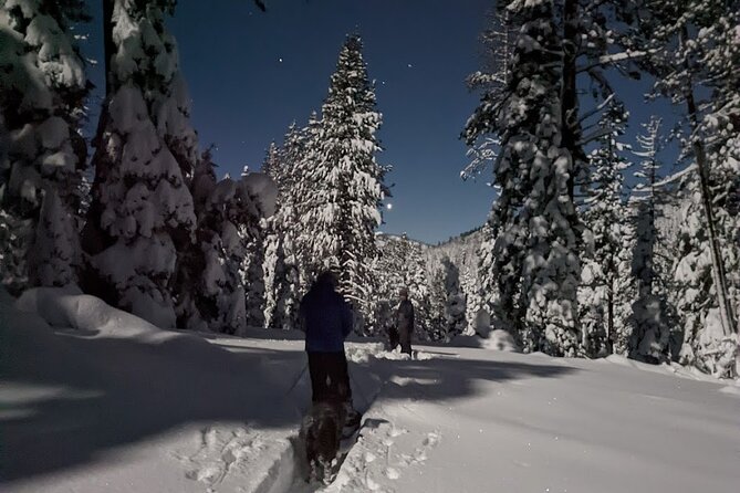 Tahoe National Forest Moonlight Snowshoe Tour Under a Starry Sky - What the Snowshoe Trek Entails
