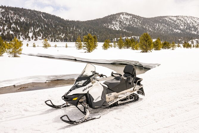 Tahoe Summit Snowmobiling Tours - The Role of the Licensed Guide in Your Snowmobiling Experience