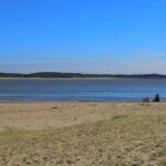 Taichi & Qigong Class in Naples, Florida - The Class Schedule and Availability