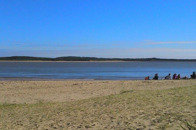 Taichi & Qigong Class in Naples, Florida - The Class Schedule and Availability