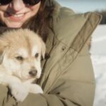 Talkeetna: Alaskan Winter Dog Sledding Experience - Meeting Point and Shuttle Service in Talkeetna