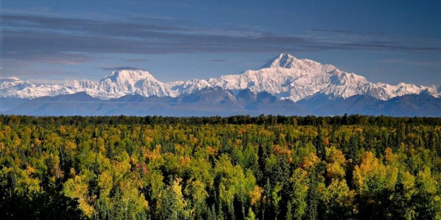Talkeetna: Denali Zipline Tours - Exploring Alaska’s Boreal Forest from Elevated Platforms