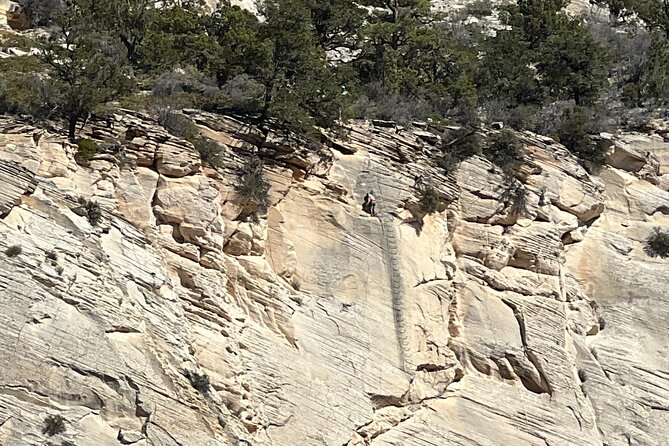 "Tallest in Utah" Via Ferrata & Rappelling (4 hr) - The Route of the Private Cliff Face in Zion