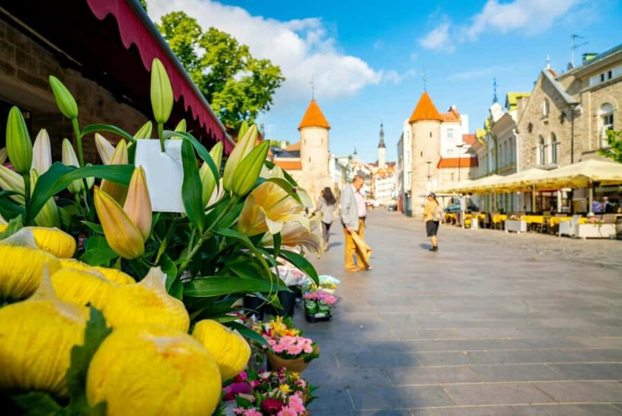 Tallinn Old Town: Stories and Views 2Hour Walking Tour - Why This Tour Stands Out Among Tallinn Experiences