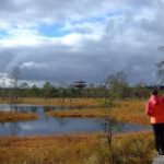 Tallinn Old Town Tour combined with Bog Walk - Practical Details: Logistics and Group Size