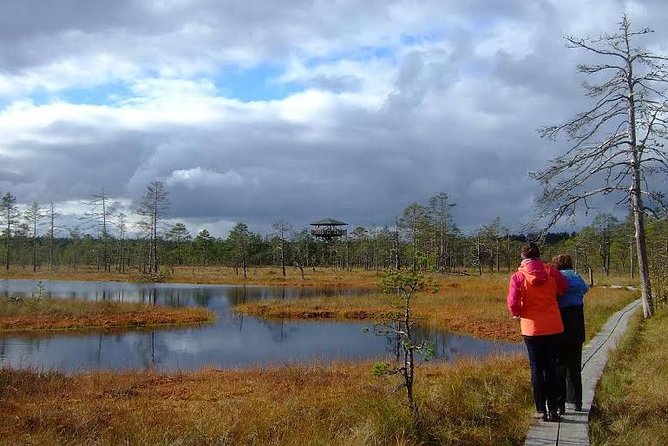 Tallinn Old Town Tour combined with Bog Walk - Practical Details: Logistics and Group Size