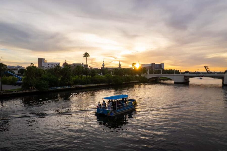 Tampa: 2 hour Paddle Pub River Cruise - Ideal for Celebrations and Casual Evenings