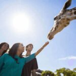 Tampa Bay: Serengeti Safari Tour - The Location of Tampa’s Serengeti Safari: The Serengeti Outpost in Nairobi