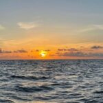 Tampa Bay: Sunset Cruise with Celebrity Homes and Wildlife - Exploring Celebrity Homes in Tampa Bay