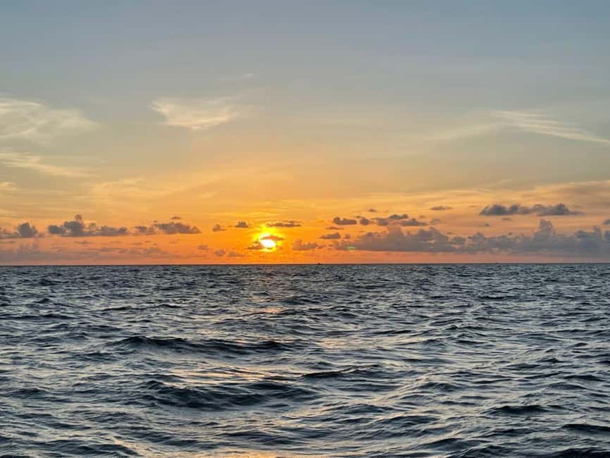 Tampa Bay: Sunset Cruise with Celebrity Homes and Wildlife - Exploring Celebrity Homes in Tampa Bay