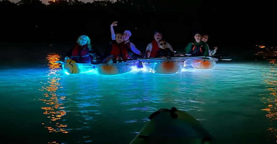 Tampa: Clear Glowing Kayak Nighttime Tour - What’s Included in the Tour