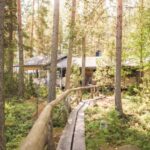 Tampere: Traditional Smoke Sauna & Lake Swim in Niemi-Kapee - Lake Näsijärvi: Refreshing Swims in Summer and Winter