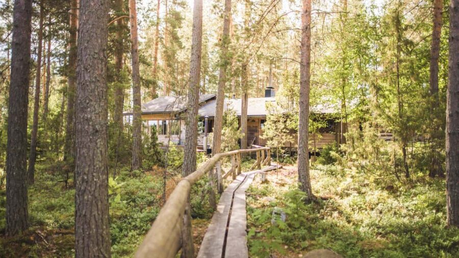 Tampere: Traditional Smoke Sauna & Lake Swim in Niemi-Kapee - Lake Näsijärvi: Refreshing Swims in Summer and Winter