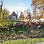 Targu Mures 3 hours walking tour - Admiring the Palatul Culturii’s Art Nouveau Charm