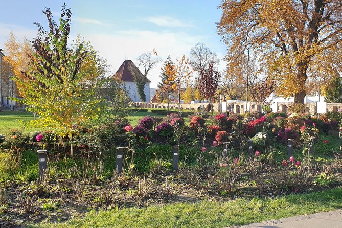 Targu Mures 3 hours walking tour - Admiring the Palatul Culturii’s Art Nouveau Charm
