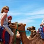 Tarifa/Algeciras: Tangier Private Day Tour with Ferry Ticket - Exploring the Coastal Drive: Malabata, Hercules Caves, and Achakar Beach