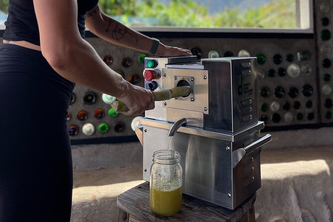 Taste of Hawaii: A Maui Farm Tour - What You Can Expect at La Kahea Community Farm