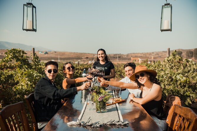 Tasting and tour through the vineyard - Tasting in the Private Gardens with a Cheese Pairing