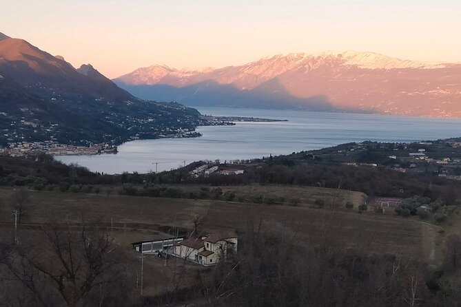 Tasting of 4 Valtenesi wines with local food in Salò - Visiting the Production Cellar