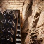 Tasting: Sparkling Discovery - Maison André Delorme’s History and Expertise in Crémants