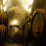 Tasting Tour in One of The Most Beautiful Cellars in the World - Sampling 36 Local Wines in a Hand-Picked Selection