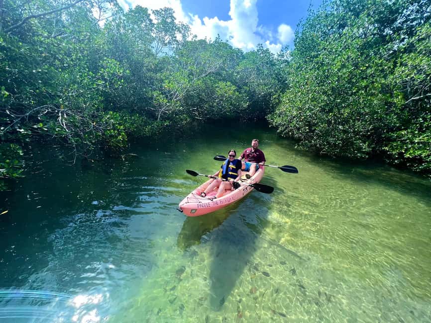 Tavernier, FL: Mangrove and Manatees Guided Kayak Eco Tour - Starting Point at the Tavernier Shop with Onsite Launch