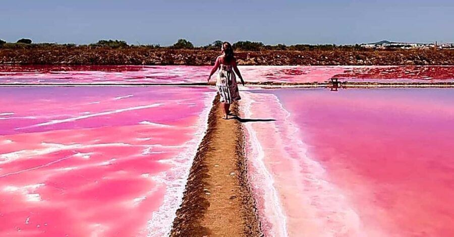 Tavira: 4x4 Jeep Adventure, Salt Pink Pans & Hidden Nature - Exploring the Pink Salt Flats and Their Surreal Beauty