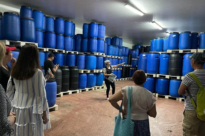 Tavira Olive Experience Factory Tour and Tasting - Behind-the-Scenes Access to Olive Machinery