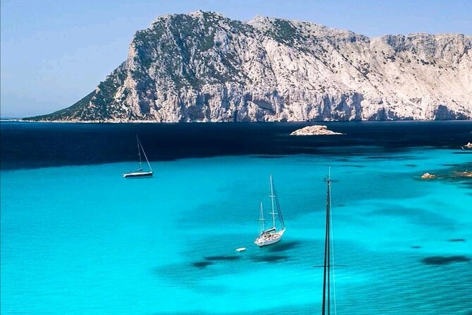 Tavolara Marine Protected Area Tour (GROUP) - Starting Point at Mari Sea Charters in Olbia