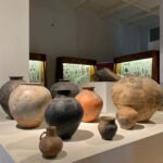 Tbilisi: Georgian National Museum Guided Tour - Discovering the Oldest Human Fossils Outside Africa