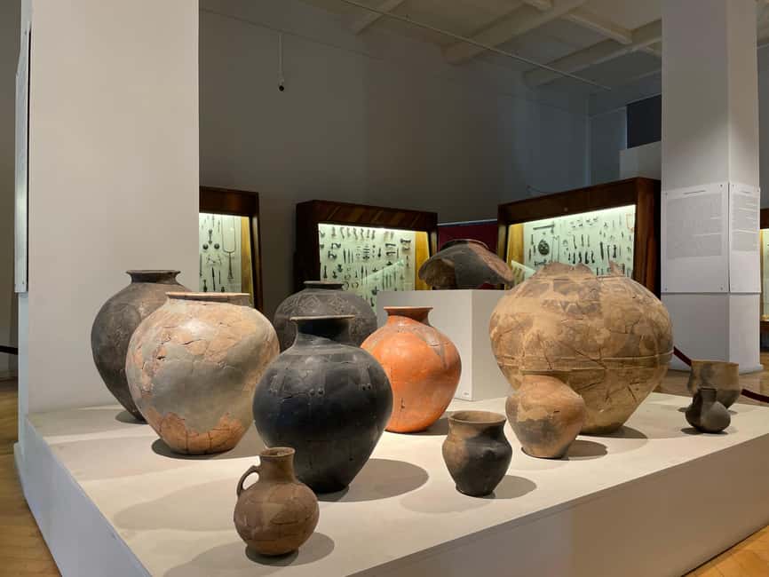 Tbilisi: Georgian National Museum Guided Tour - Discovering the Oldest Human Fossils Outside Africa