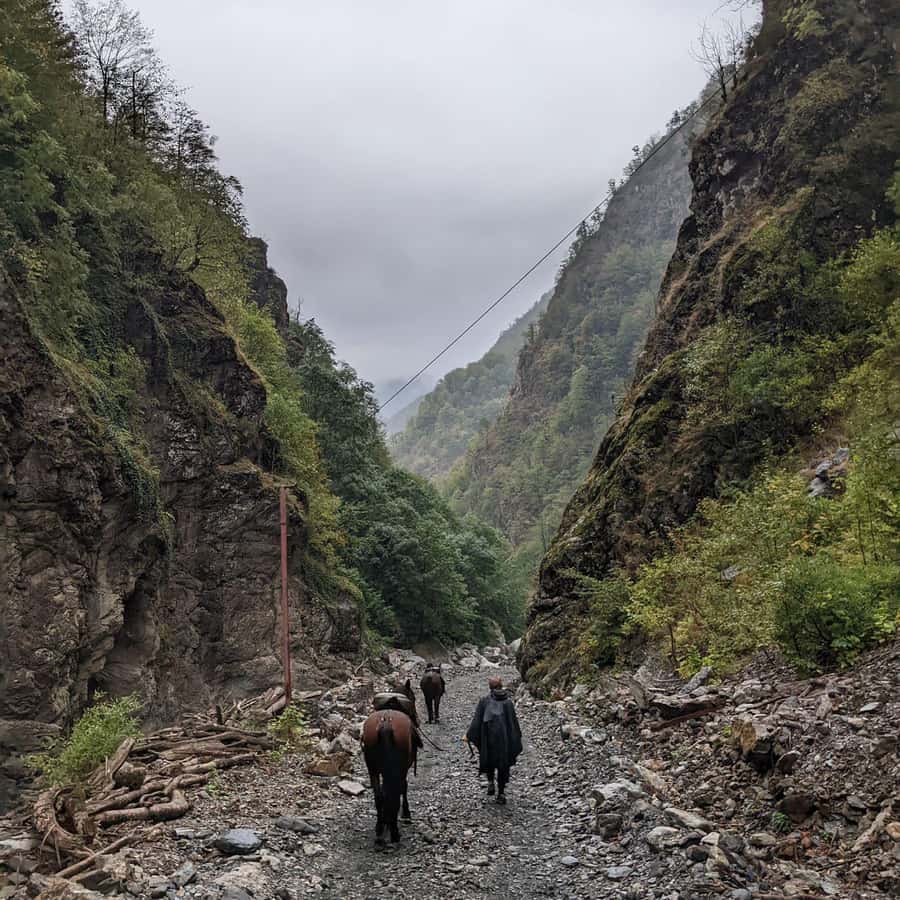 Tbilisi: Pankisi Gorge Horse Riding Tour with Dinner - Scenic Horse Riding in Pankisi Gorge